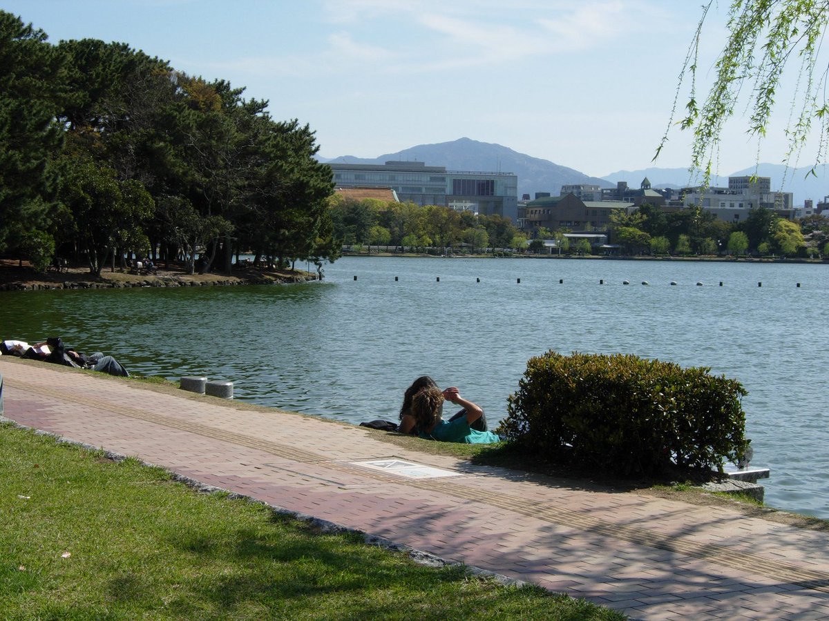 여름🌞 tweet media