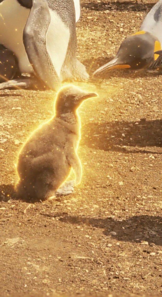 GIGAXDEV's tweet photo. Send the $CHICK 
We are the OG 

7kuqm8hBzWG7uEjnhm7576rFJbJcjBRtDrTFN5a5pump https://t.co/z9QUH7GSBj
