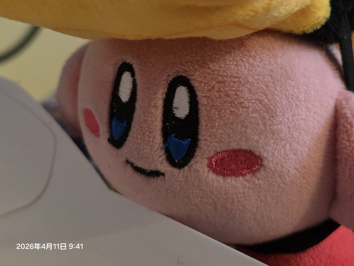 現場かーびぃ tweet media