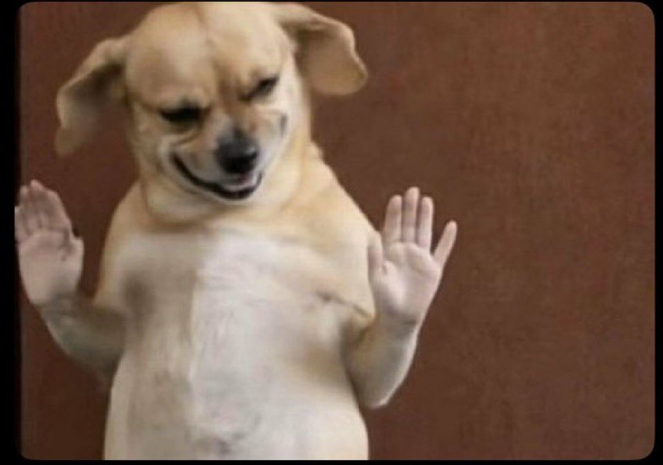 GIRLCHILD🌹💃🦋 tweet media