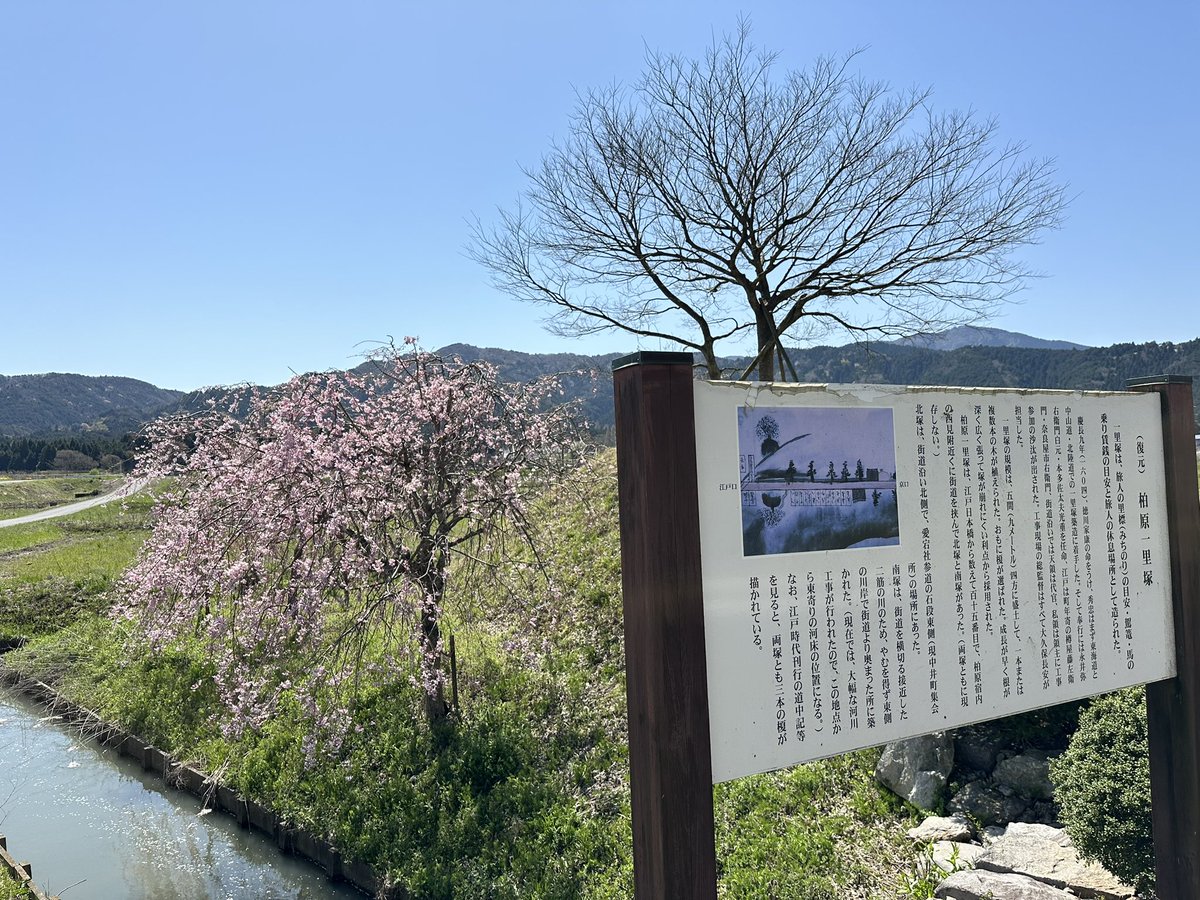 あさみ tweet media