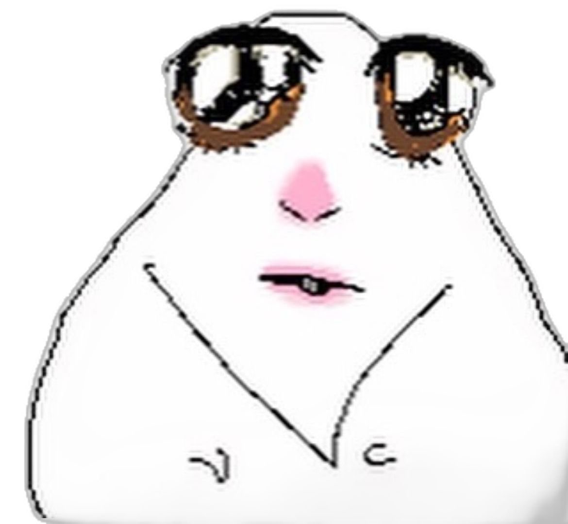 sofi🤍 ENHYPEN IS 7 tweet media