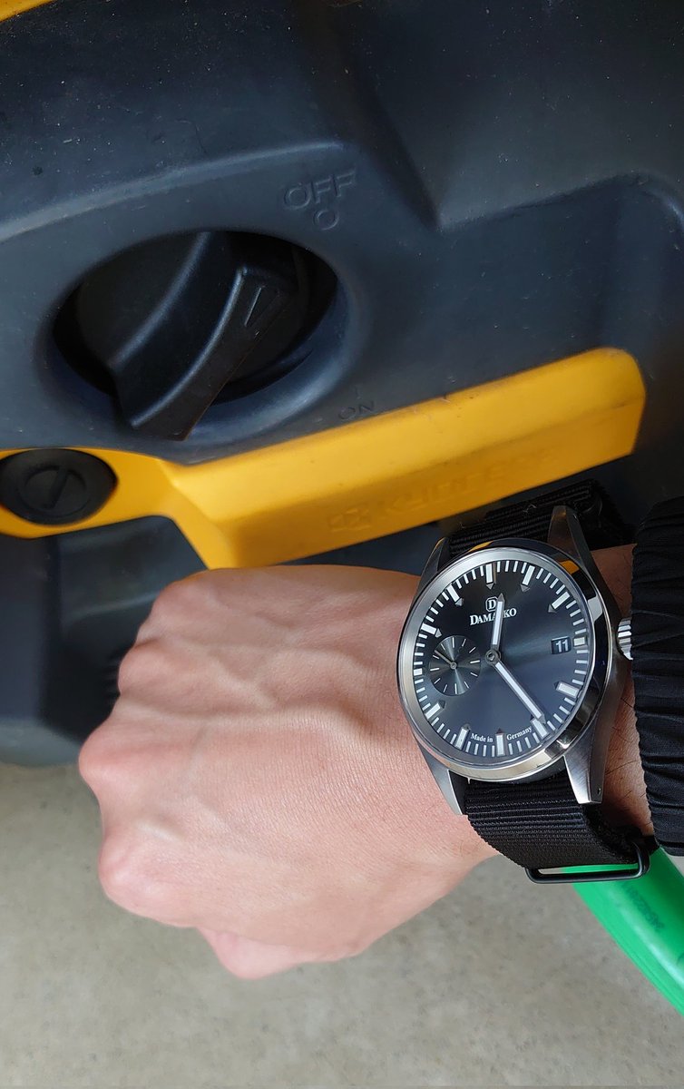 赤目(彷徨う) tweet media