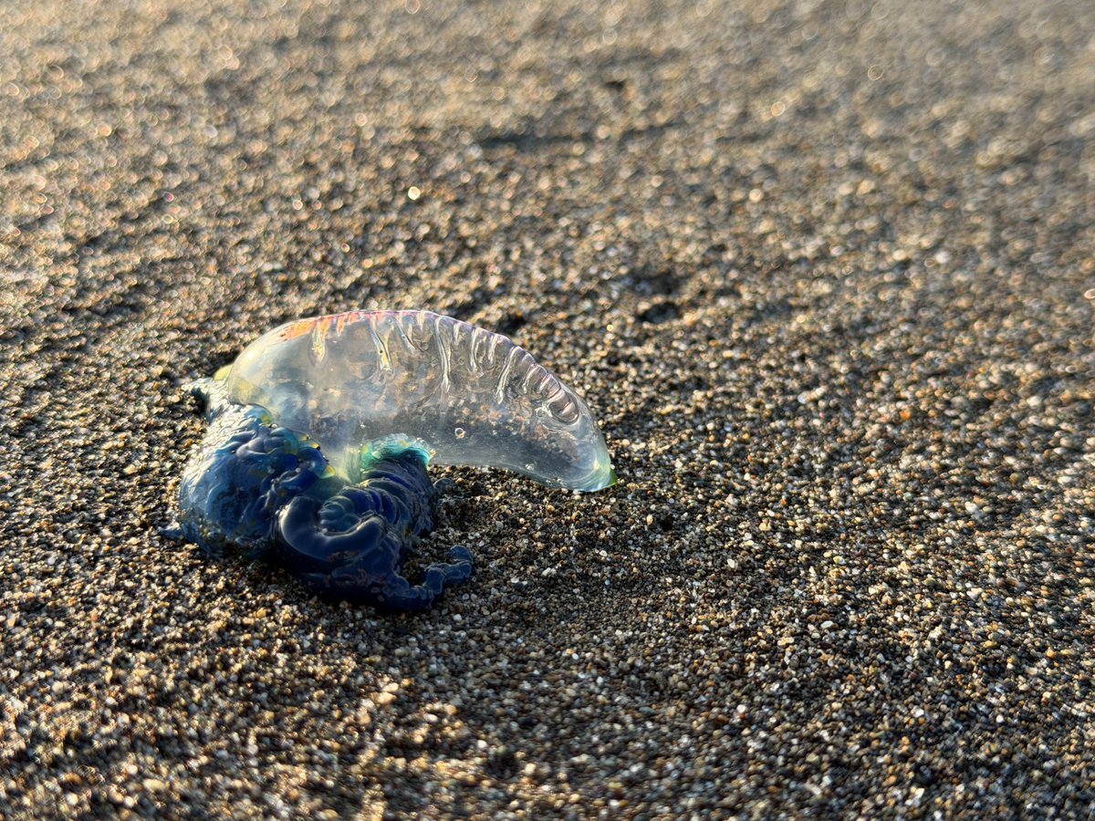 みゅう (@myuuu1350) on Twitter photo 