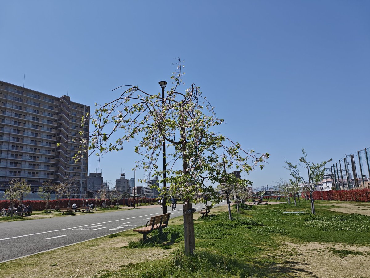 rei4725's tweet photo. 町中の公園助かる https://t.co/YpxHWCBK6C