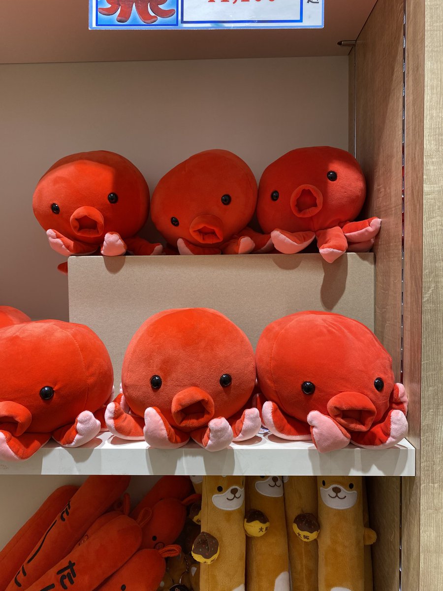 konradson 包天 tweet media