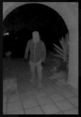 Where is Nancy Guthrie? tweet media