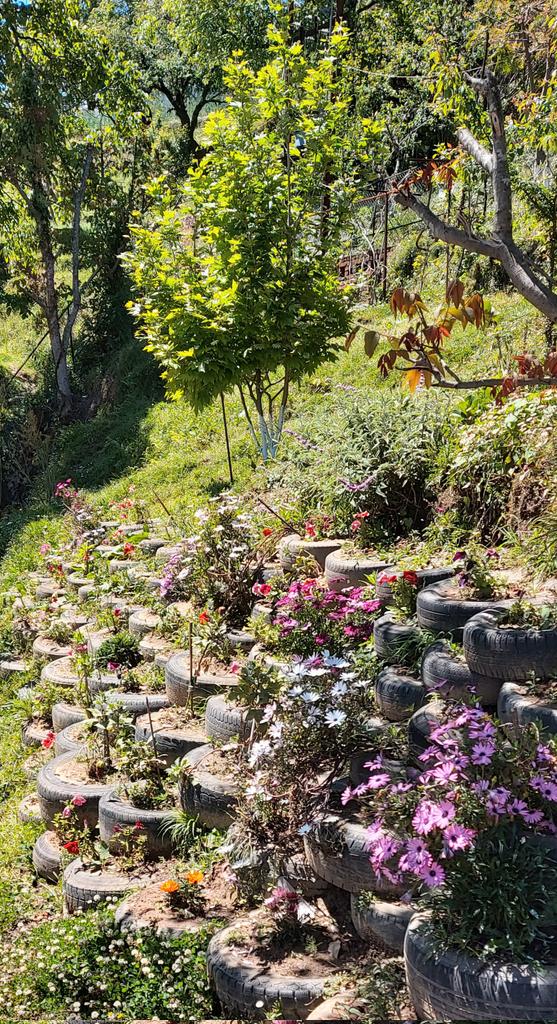 InderKilam's tweet photo. X 1245
Far from the Madding Crowds.... Here in village Shaharfatak, Almora district of Uttarakhand..... https://t.co/TAQZ1mLBEY