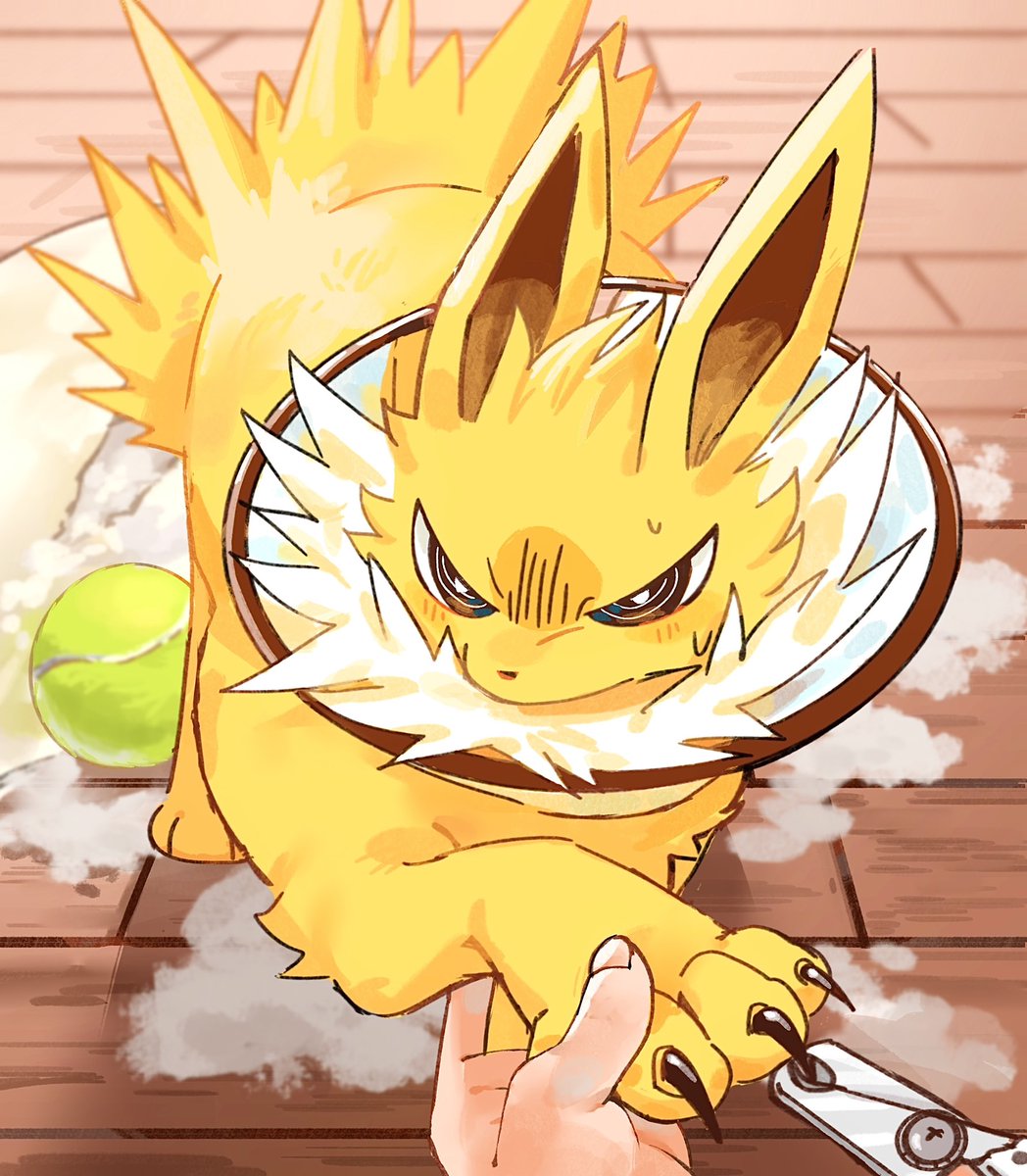 세쾅이 / セクァンイ tweet media