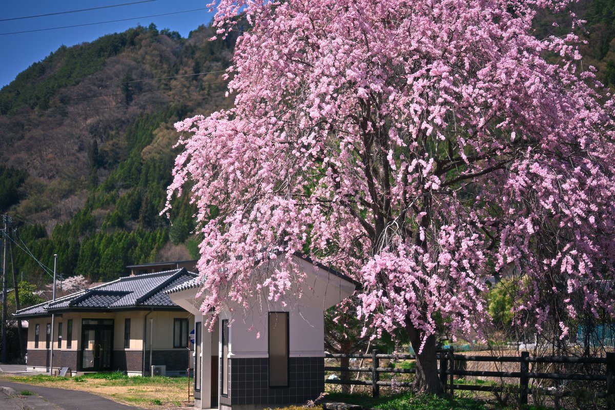 イノウエタクロ⛰️ tweet media