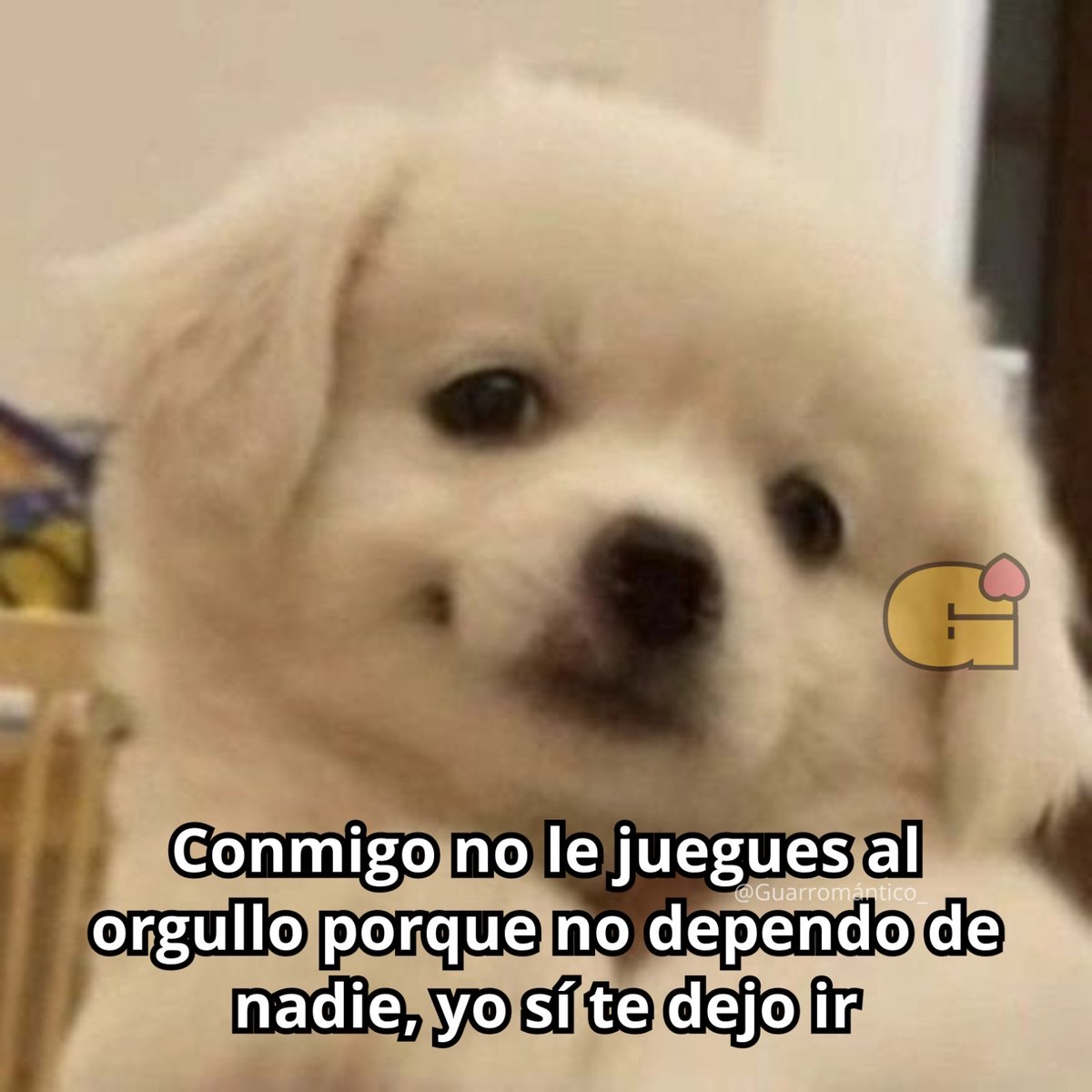 El Guarromántico tweet media
