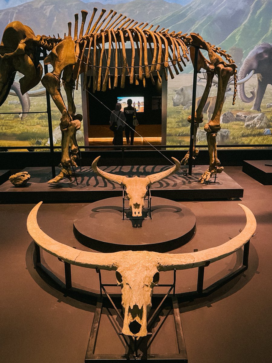 Tan Sri Dhammananda tweet media