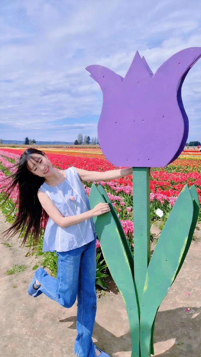 七姑妈 tweet media