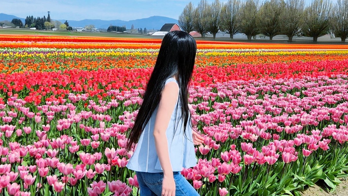 七姑妈 tweet media