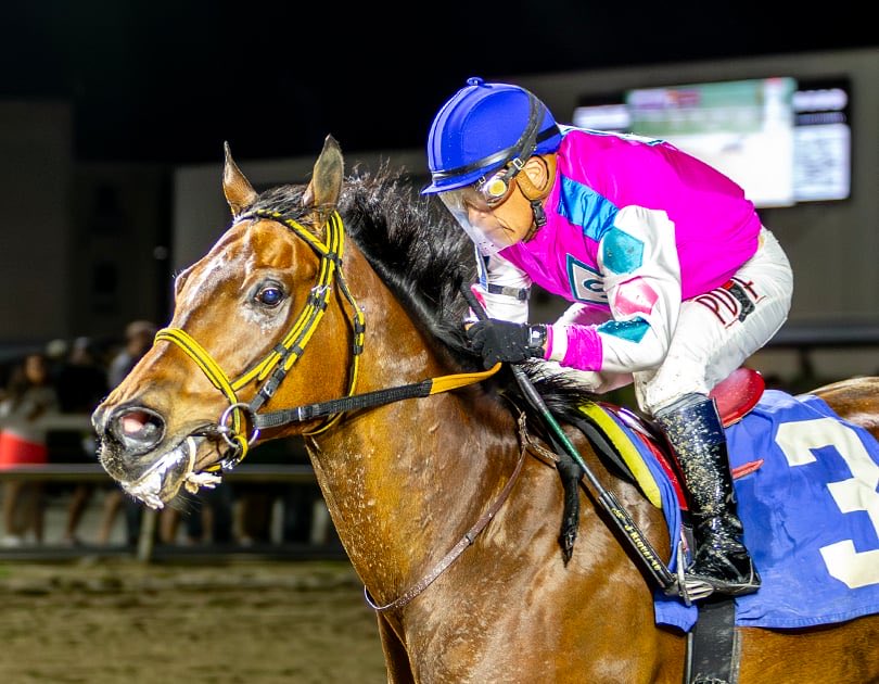 jlr625's tweet photo. 🏇🏿🏆💪🙌🏻 https://t.co/luQbGAPuMB