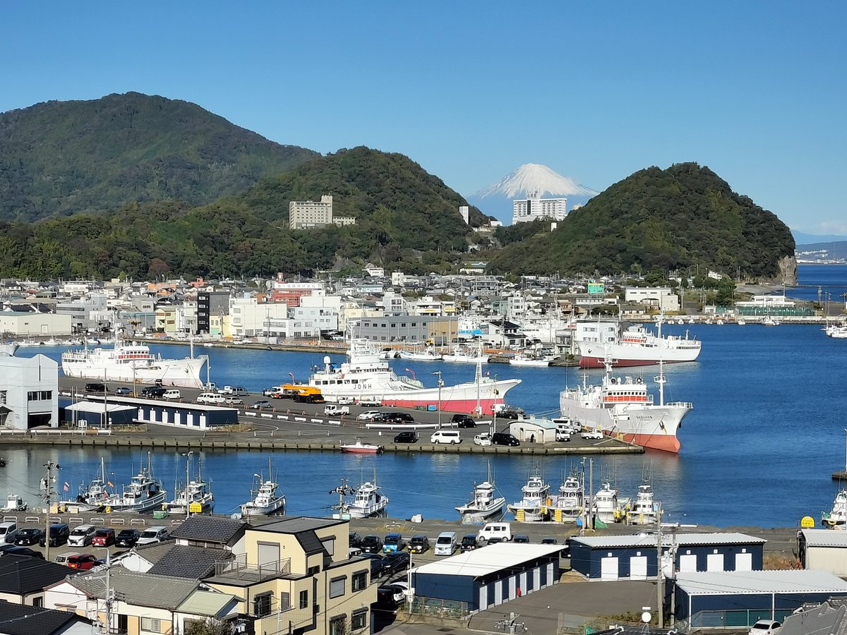 焼津市観光協会【公式】 tweet media