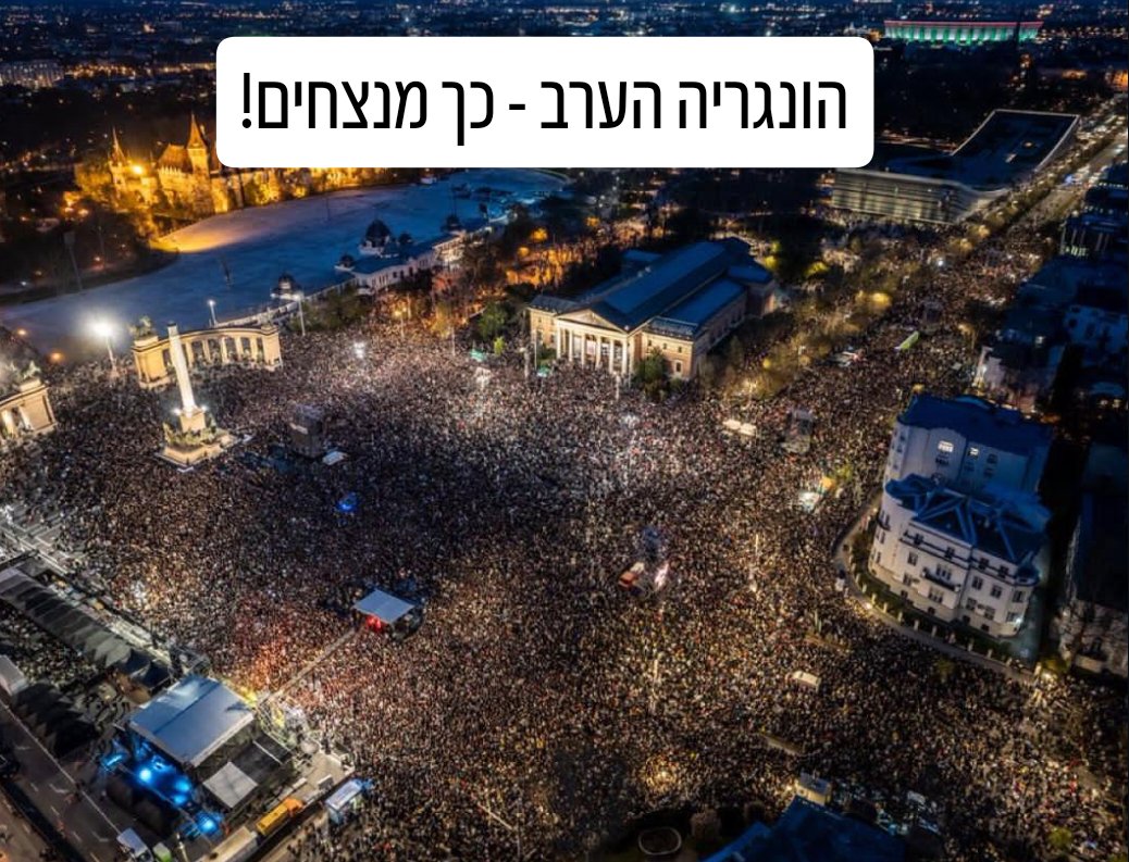 Ami Dror 🇮🇱 עמי דרור tweet media