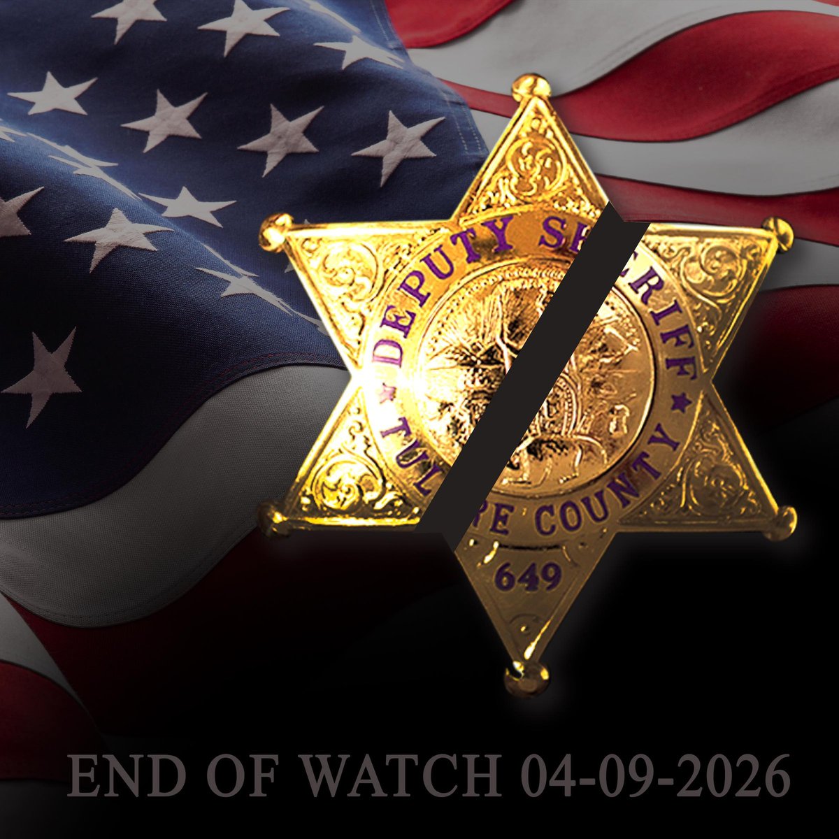 Under the Shield tweet media