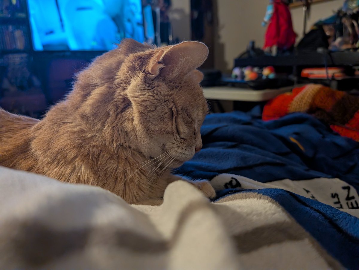 Than_Drake tweet media