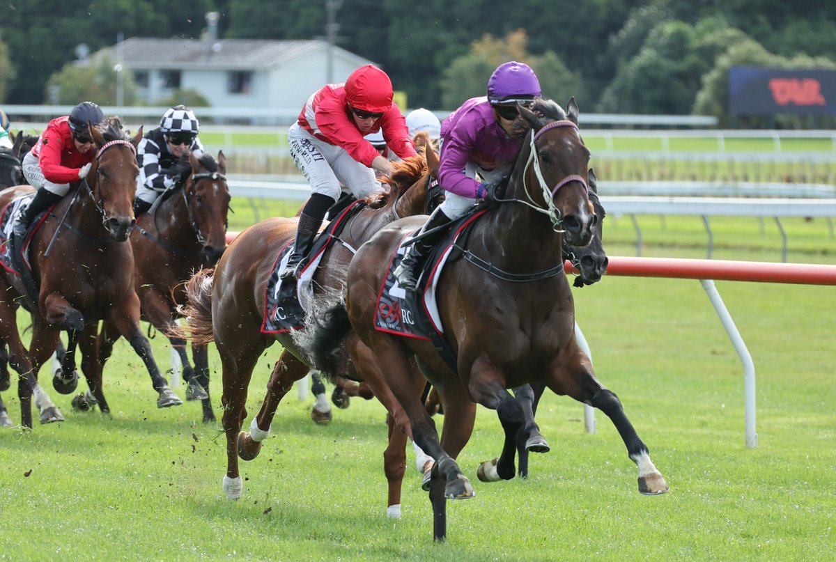 LOVERACING.NZ tweet media