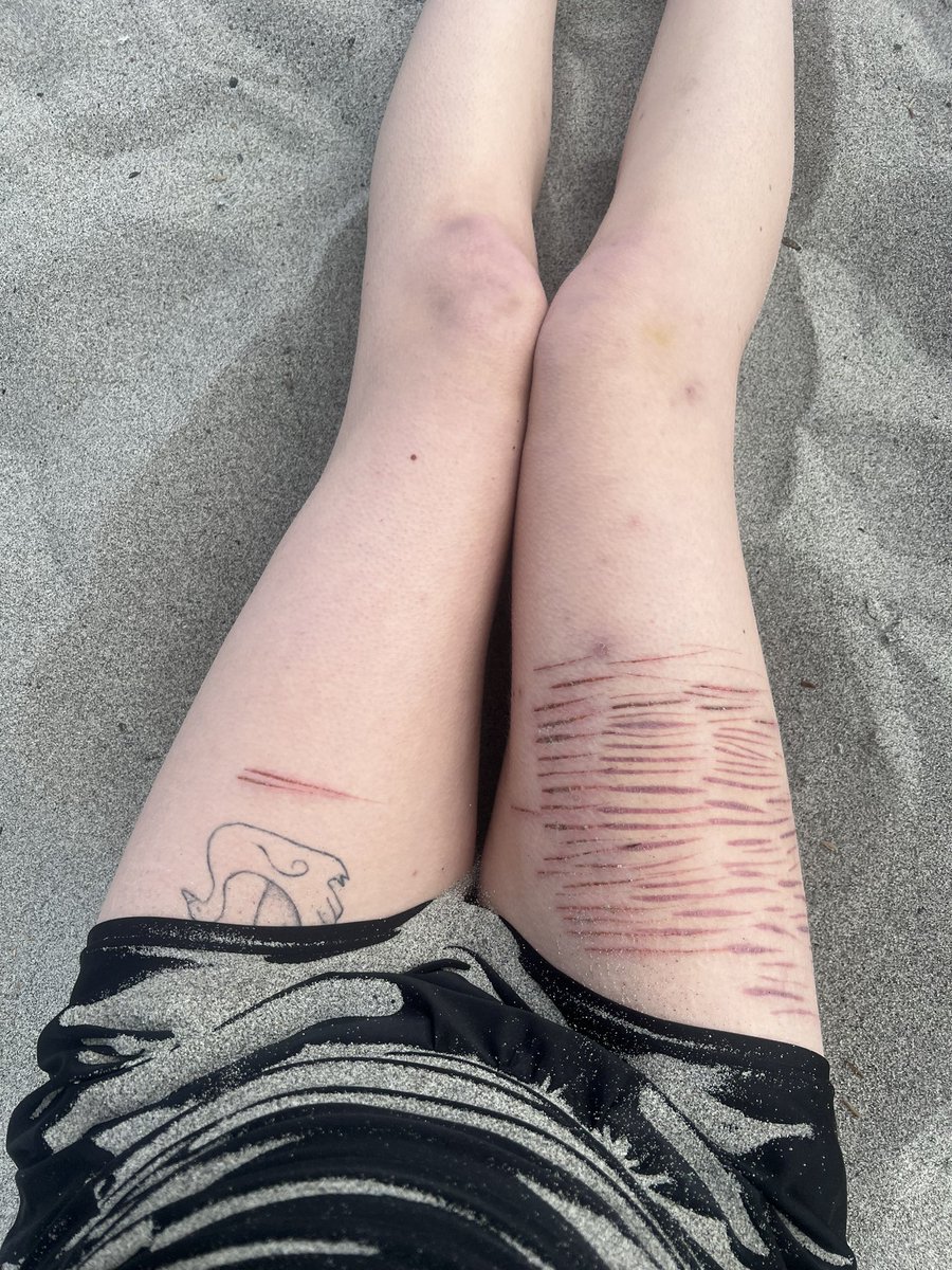 bunny of shtwt tweet media