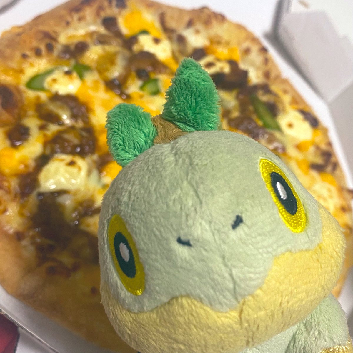 ちっちゃいナエトル tweet media