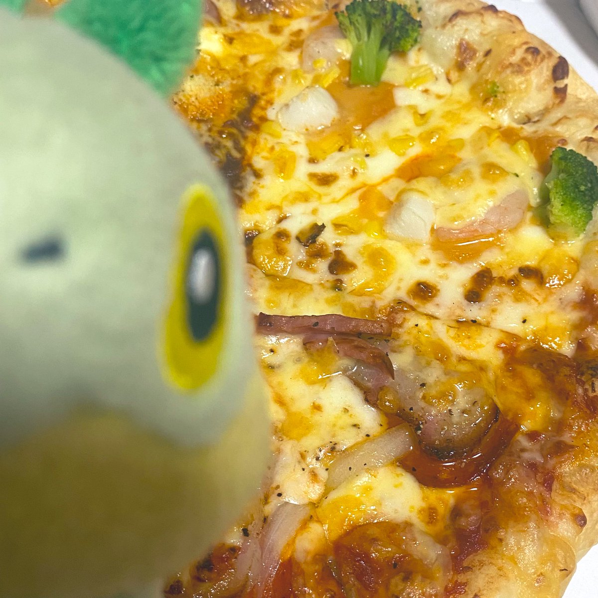 ちっちゃいナエトル tweet media