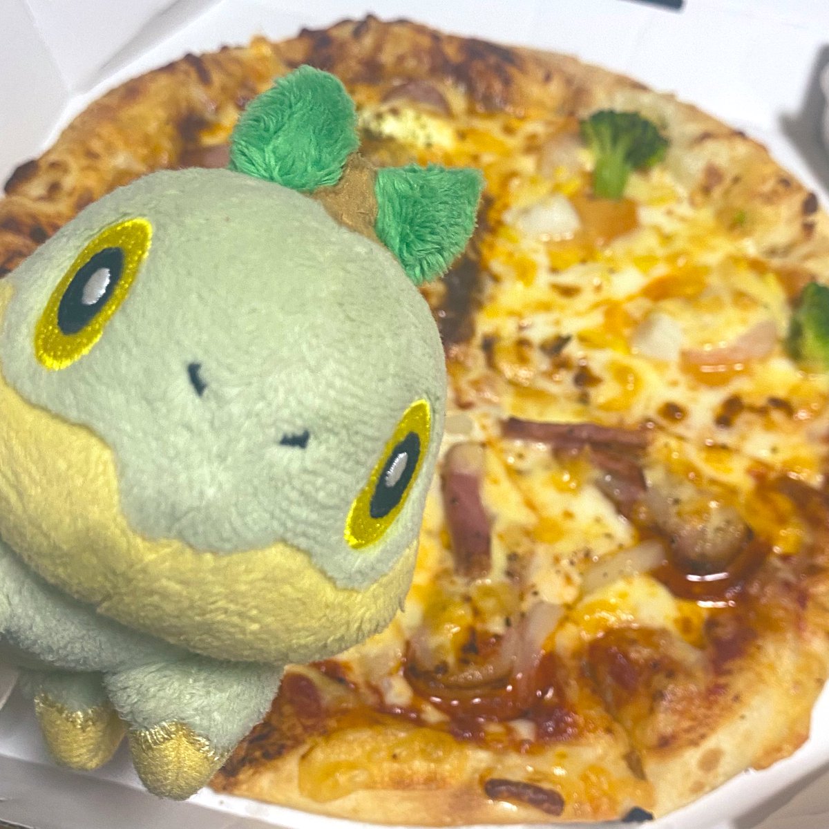 ちっちゃいナエトル tweet media