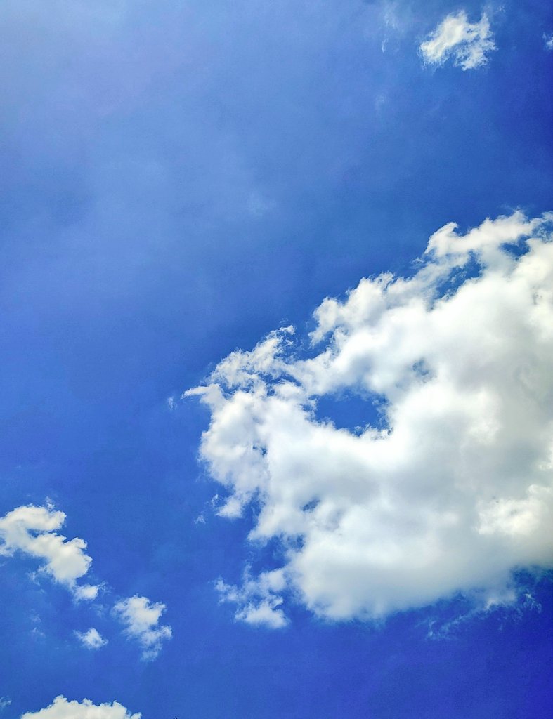 _ᴄʜɪsᴇɴᴏɴ_ tweet media