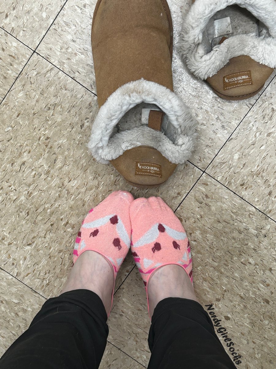 NerdyGirlSocks's tweet image. I posted a poll over on YouTube asking which of my new socks you would like to see me show off first! Head over there to vote and enjoy these quick sneaky pics I took at work eariler today in the meantime. 😘

youtube.com/post/Ugkxo6p66…

#socks #fypシ゚viral #explore #sockseller