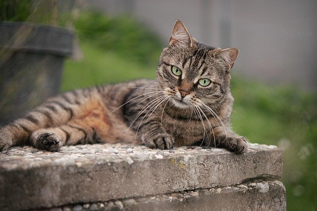 Moses Slasher tweet media