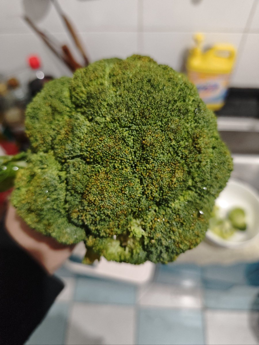 Jillian Clarke tweet media