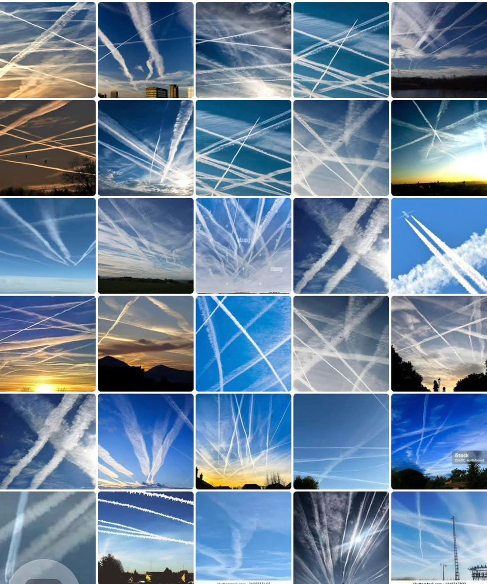 🇩🇪 𝕸𝖎𝖈𝖗𝖔𝖍𝖆𝖝 🇩🇪 tweet media