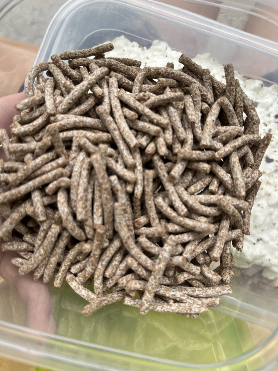 raye ☆ tweet media