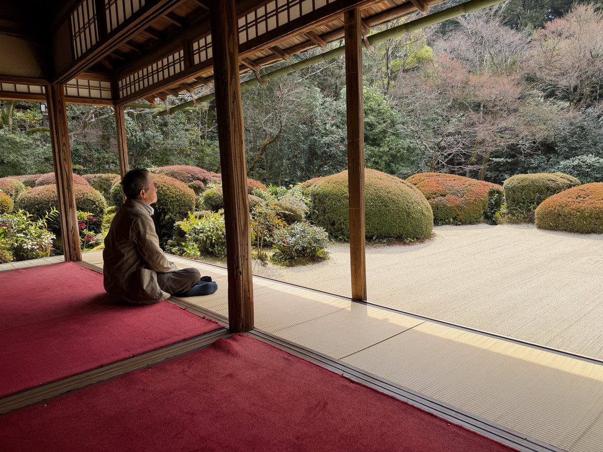 mariouji's tweet image. #japan #kyoto #blogger
良い場所だった。
極楽京都日記: 【京都】六六山「詩仙堂」丈大寺【2026 3/20】 kyotogokuraku.blogspot.com/2026/04/2026-3…