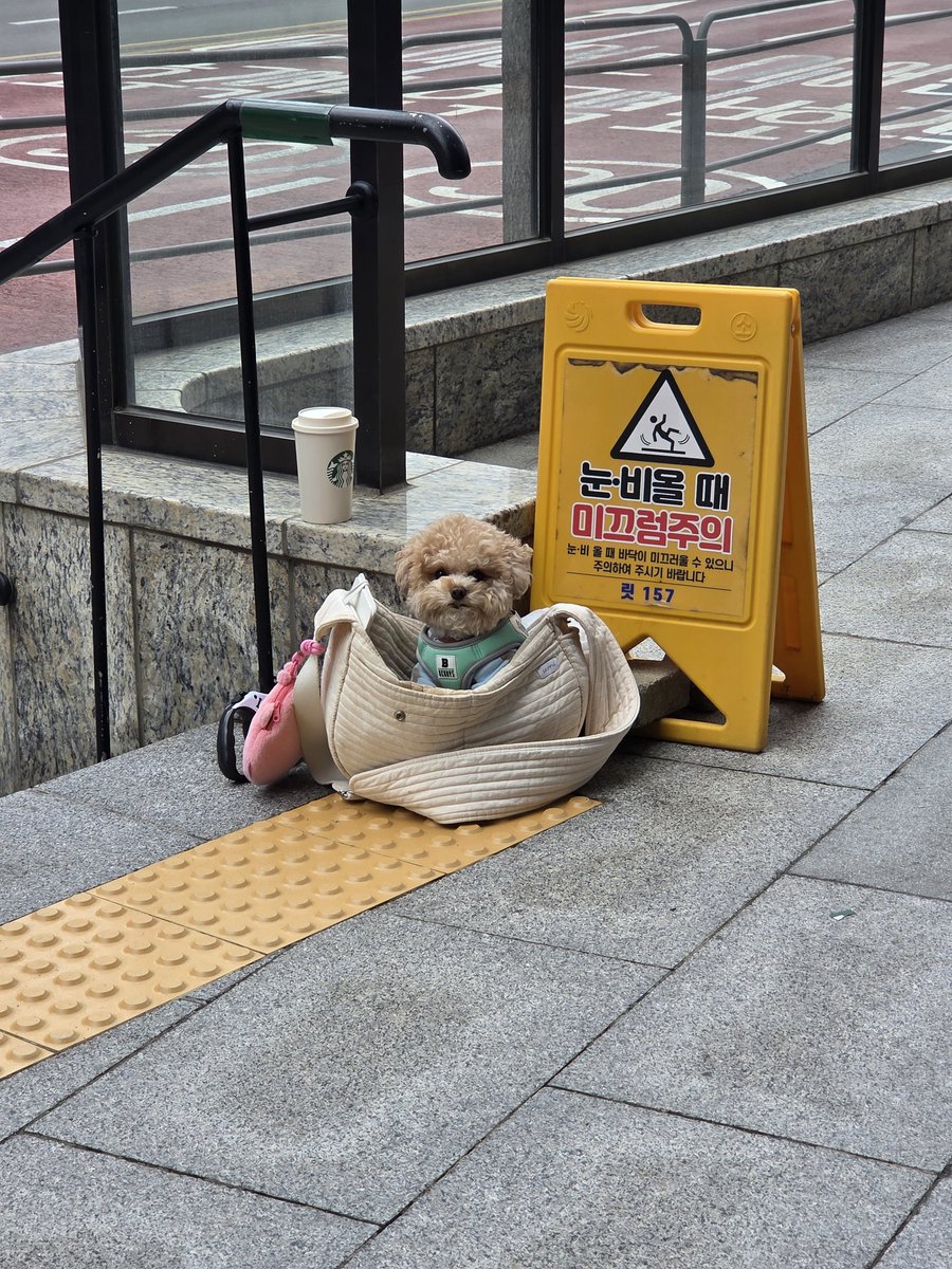 같은 사진같지만
매일 다른 사진이야