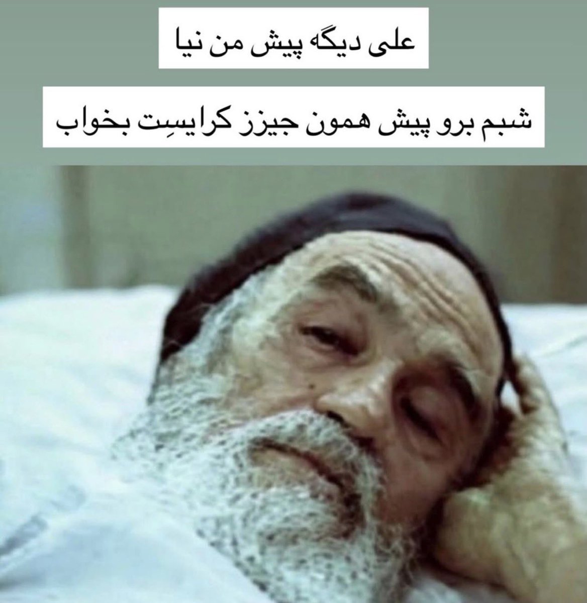 H E R 🕊️ tweet media