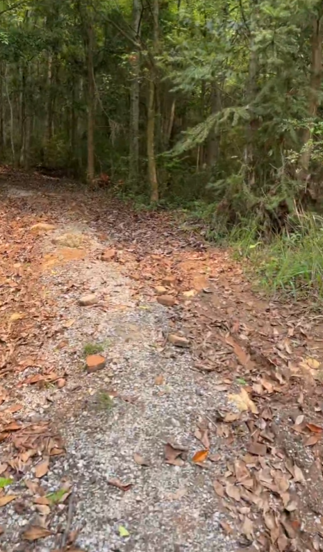 李湘南 tweet media