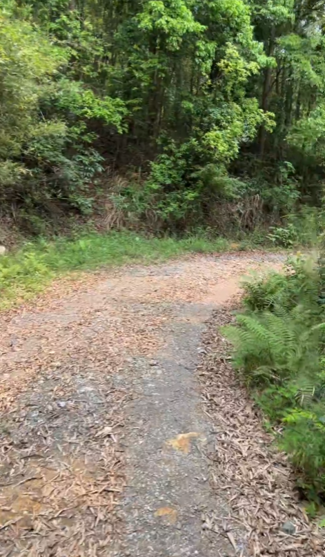 李湘南 tweet media