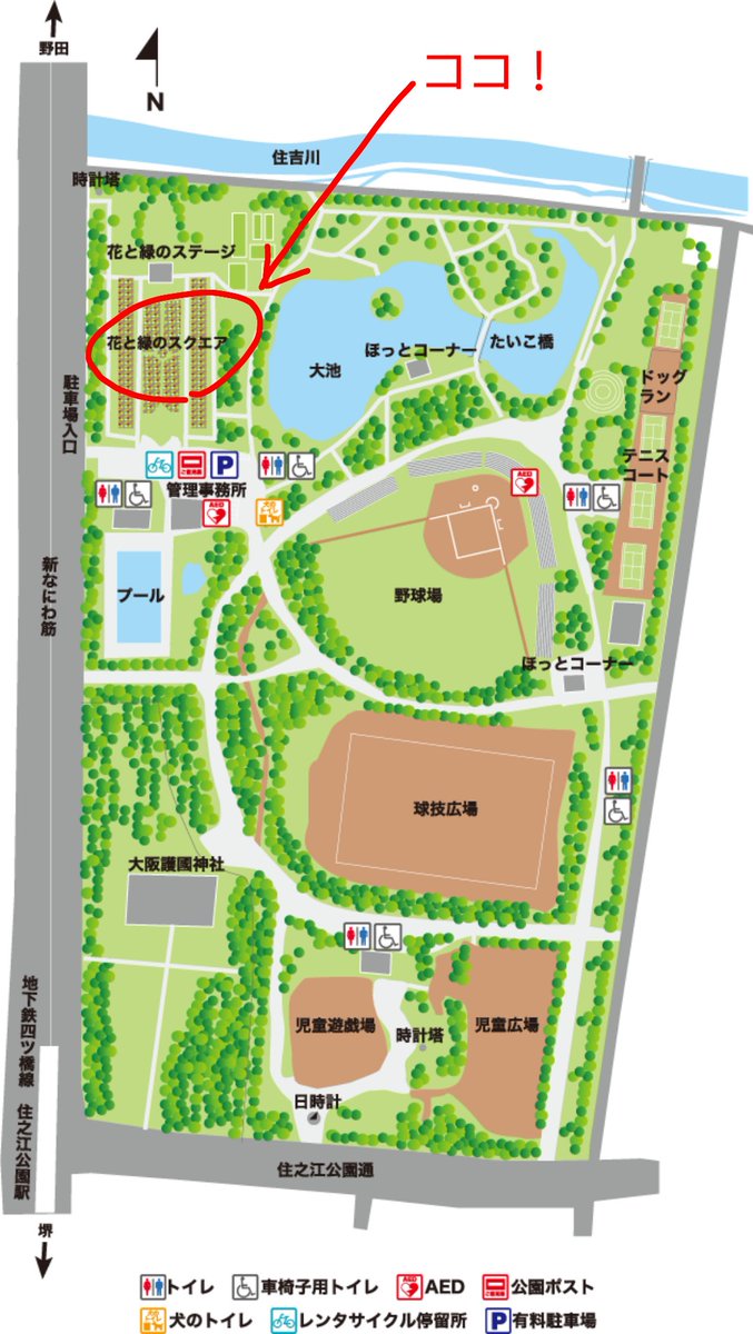 spmg_2019's tweet photo. 【いよいよ明日開催です！】
4月12日(日)、「住之江公園ミュージックガーデン」を開催します！
皆様とお会い出来るのを楽しみにしています！

日にち：2026年4月12日(日)
時間：11時開演～15時頃終了(予定)
会場：住之江公園 花と緑のスクエア(観覧無料)
※雨天中止 https://t.co/xAHcq7p4my