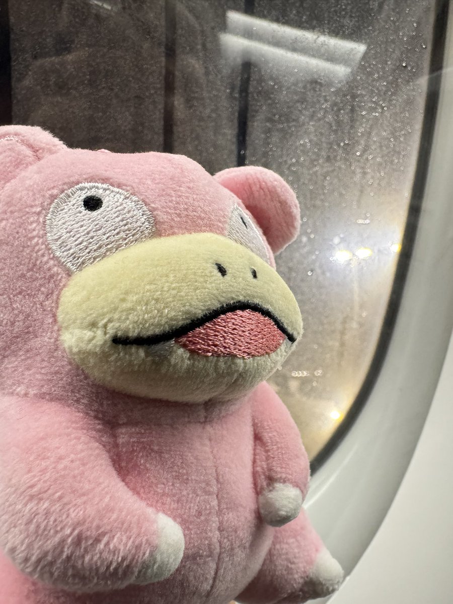 やどんらんなーSaeguSa🇩🇪@0412 パリ🇫🇷 tweet media