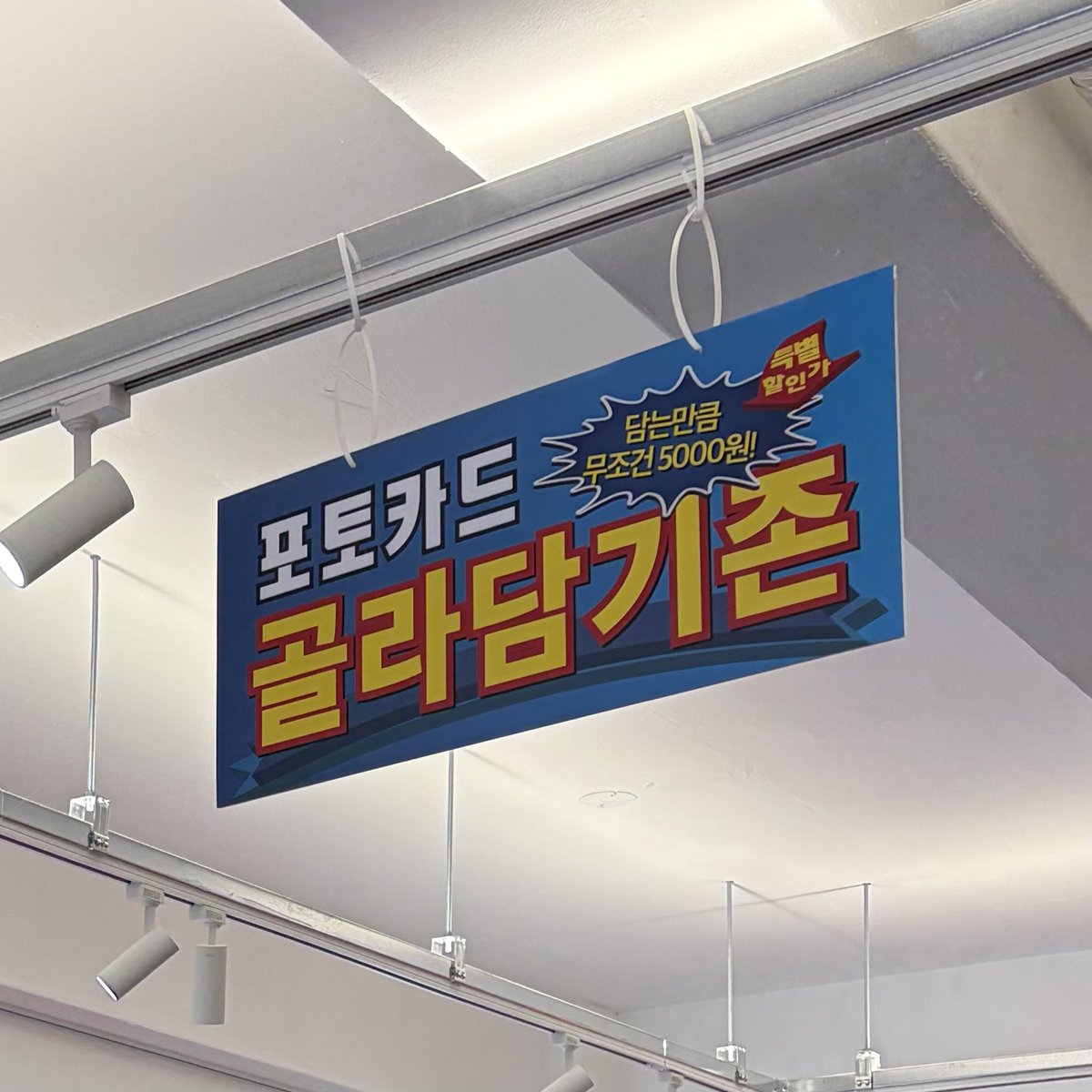 콩럿이 tweet media