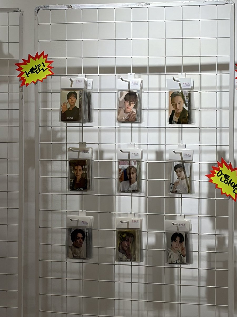 콩럿이 tweet media