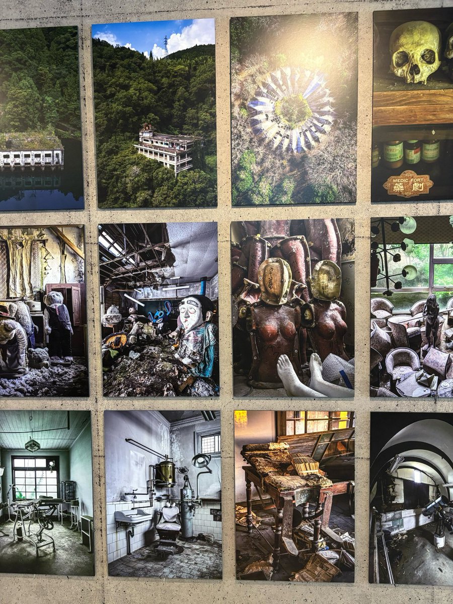 TODAYS GALLERY STUDIO.公式(TOKYO & NAGOYA) tweet media