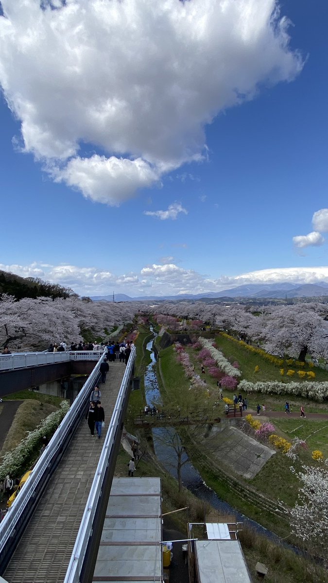 ミッチーー tweet media