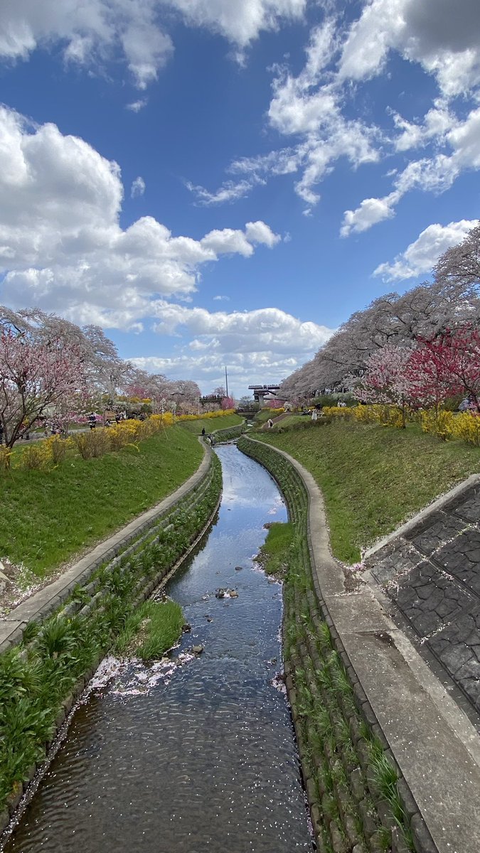 ミッチーー tweet media