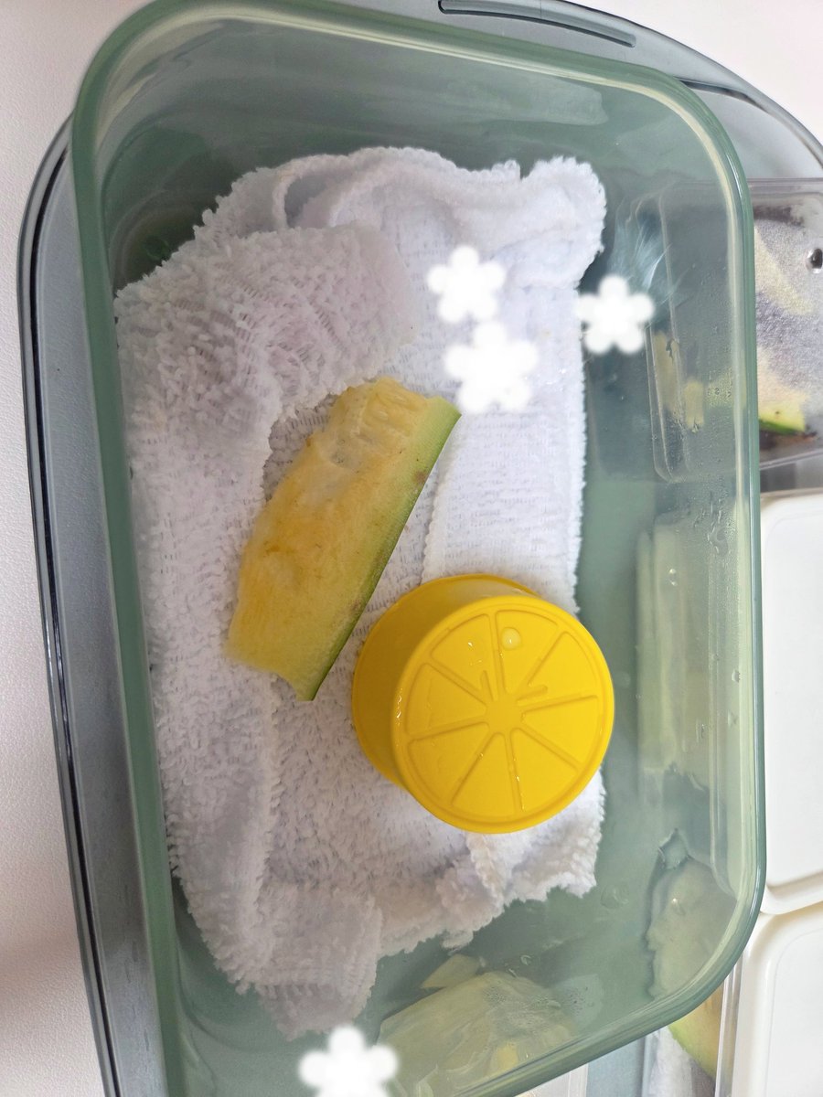 테풀잎 tweet media