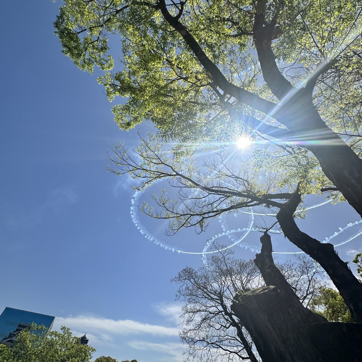 ブルーインパレス@熊本城二の丸広場Part3