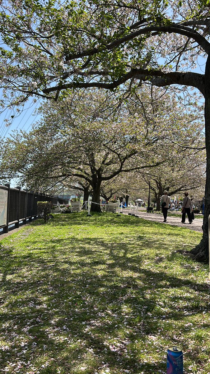 yo suzuki akisai tweet media