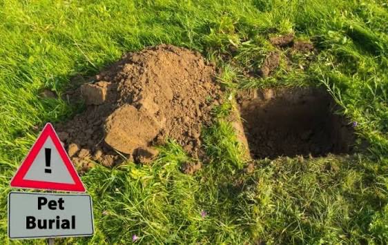 Norman Buntz tweet media